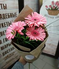 Букет цветов из:  Герберы #REPLACE_PRED# Колпашево
