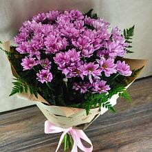 Букет цветов из:  Хризантемы #REPLACE_PRED# Колпашево
