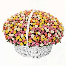 Премиум букет из: Розы в Колпашево