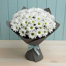 Букет цветов из:  Хризантемы в Колпашево