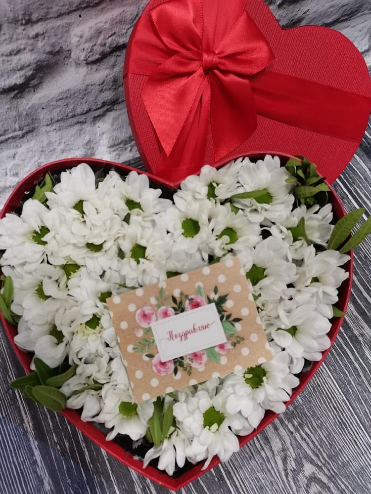 Цветочная композиция из Хризантемы в виде сердца в Колпашево